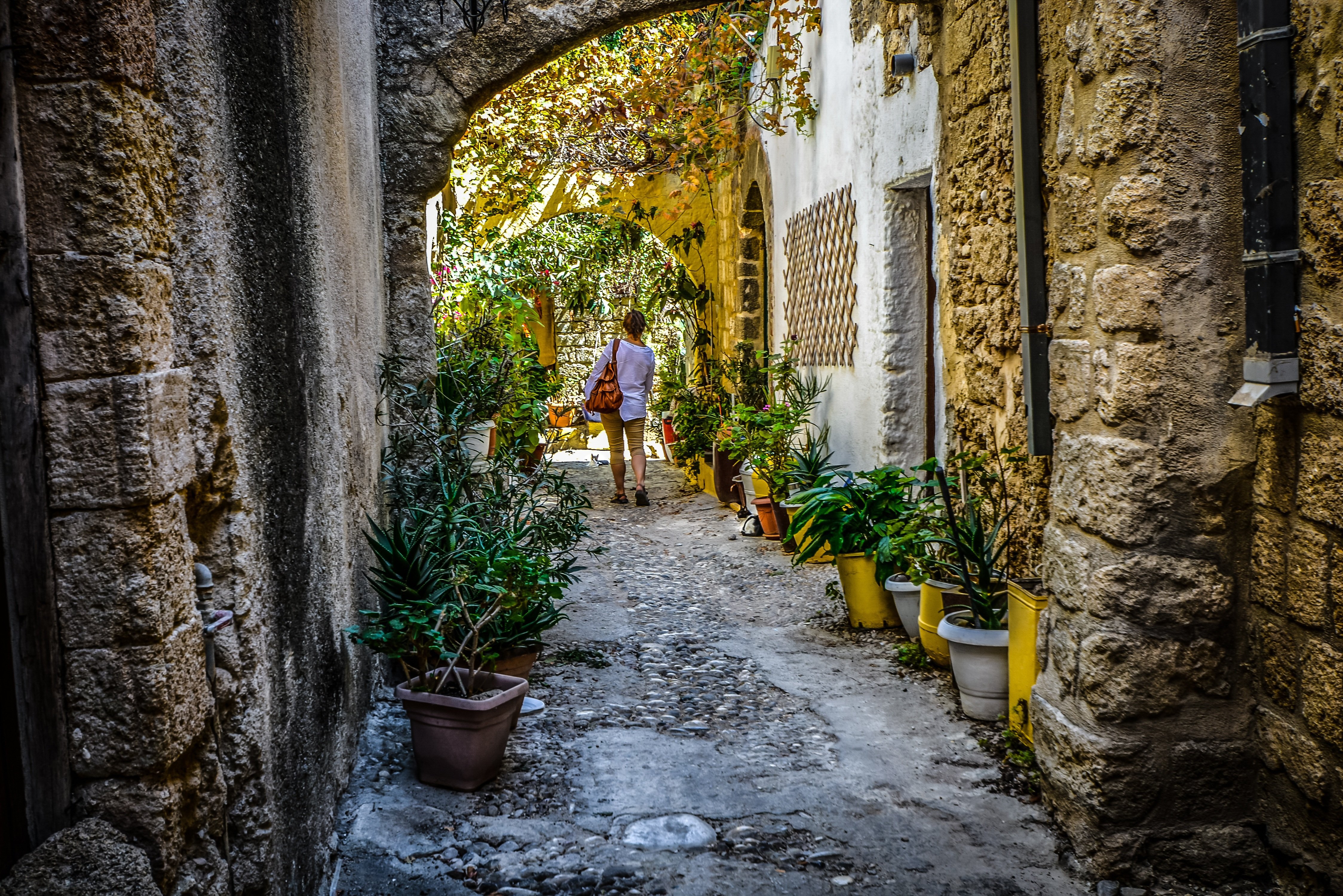 Traveller exploring a historic destination